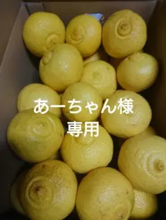 あーちゃん様専用　熊本県産　はるか　５キロ