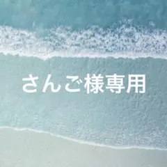 さんご様専用