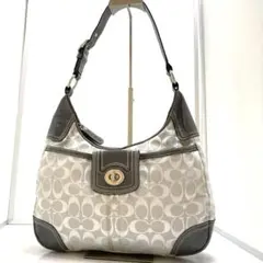 希少色　COACH ハンプトンズ　ワンショルダーバッグ　F13971