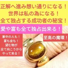 Asami❄️様 リクエスト1点 まとめ商品 ～3/1 Ⅵ