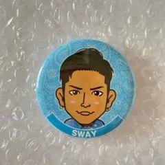 DOBERMAN INFINITY SWAY 缶バッジ 10thTシャツ ガチャ