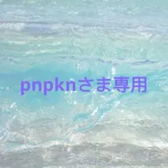 pnpknさま専用