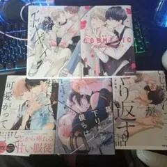 商業BL本 まとめ売り 5冊