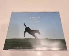 Item thumbnail for item f4797d23-0eb8-4fb0-8fef-5e8576c4832b