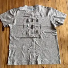 モンベル 昆虫デザイン グレー Tシャツ Sサイズ