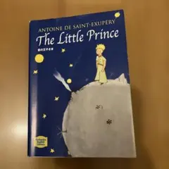 Item thumbnail for item caaf73db-e252-46fb-891b-663132aca4c1