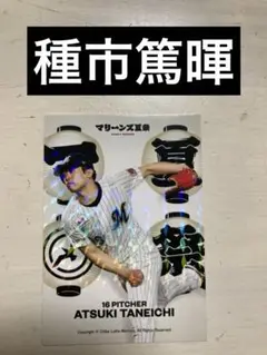 【新品】千葉ロッテマリーンズ　種市篤暉　夏祭りキラカード