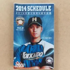 2013北海道日本ハムファイターズ 日程表＆選手名鑑(大谷翔平選手入団年