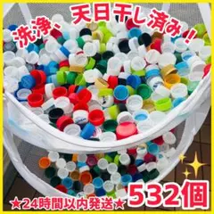 532個【洗浄.天日干し済】★24時間以内配送★ペットボトルキャップ 蓋 ふた