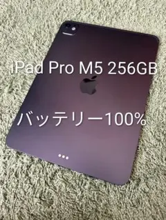 아이패드 프로 M5 11" 256GB 100% 배터리