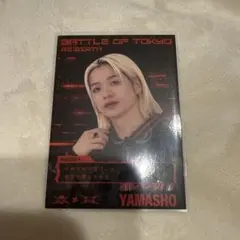 山本彰吾 フォトカ BOT ランペ
