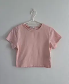 BEAUTY&YOUTH UNITED ARROWS ショート丈 チビTのサムネイル