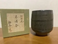 Item thumbnail for item 0f3a2a30-388b-4cae-9a40-1002c5289841