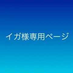 イガ様専用ページ