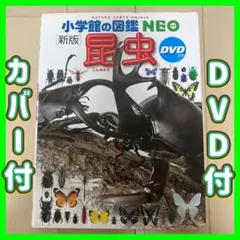 【新版】小学生の図鑑NEO 昆虫　小学生　夏休み　自由研究