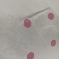 ふくみかん様専用