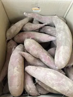 茨城産完熟紅はるか1箱10kg大中サイズのサムネイル
