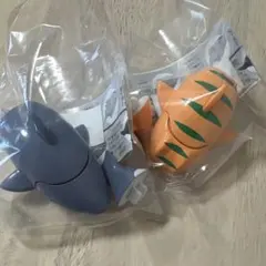 サメジャー　ホホジロザメ　ネコザメ