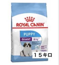 Item thumbnail for item c1848767-5e9e-4a3b-85a6-ccb5903a274d