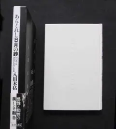 Item thumbnail for item cb538d5c-9185-4892-ac41-4abe3fa075db