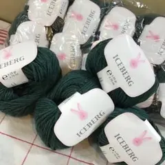 ICEBERG 毛糸　25g×10玉セット