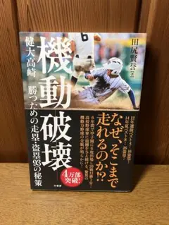 Item thumbnail for item 82f26641-f2e1-47c5-9499-16c72628c77d