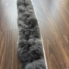 グレー ファーロングマフラー 約80㎝