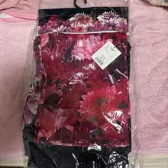 Item thumbnail for item 8a5d26b0-877e-40a3-9b4e-53668c652121