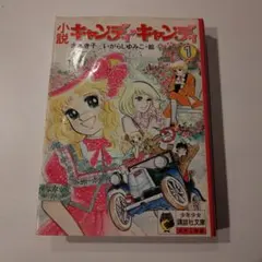 キャンディキャンディ】全巻セット 初版本を含む - メルカリ