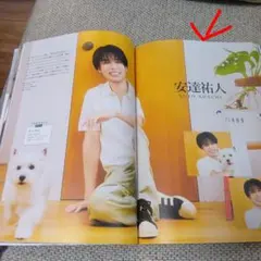 月刊わんこ34　安達祐人　切り抜き