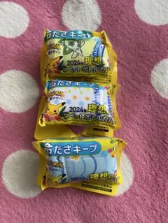 理想のペットボトルカバー　ポケモン　夏デザイン　ポケットモンスター　保冷