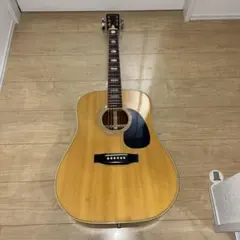 2025年最新】鈴木バイオリンギター three sの人気アイテム