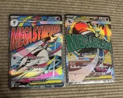 つくね＊様 リクエスト 2点 まとめ商品