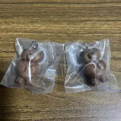 Daisuke Kondo めじるしアクセサリー　くま2個セット