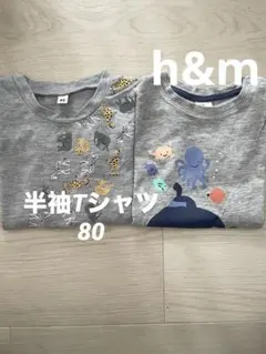 h&m 動物　海の生物　グレー　Tシャツ 80 保育園着
