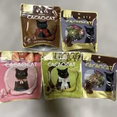 CACAOCAT 5袋まとめ売り　チョコレートまとめ売り　カカオキャット
