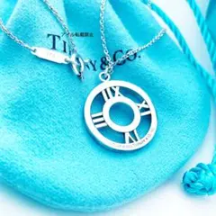 Tiffany&CO. ティファニー イルカ ネックレス 希少 SV925 | Mercari