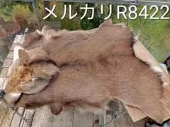 2026年最新】鹿毛皮の人気アイテム - メルカリ