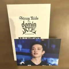 straykids domin ATE 映画　バンチャン　ストレイキッズ　トレカ