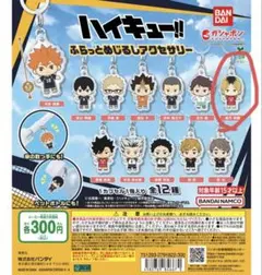 ハイキュー　ふらっとめじるしアクセサリー 孤爪研磨