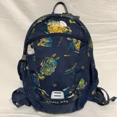 子供用 ノースフェイス スモールデイ キッズ リュック C06