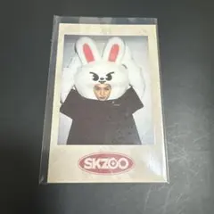 straykids スキズ　リノ　skzoo リービット　ポラロイド　トレカ