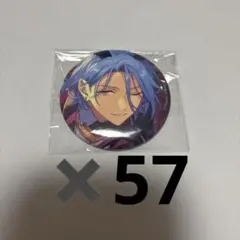 HiMERU テーマスカウト缶バッジ 15点セット テーマスカウト缶バッジ[2023 SUMMER]-Idol Side-（BOX