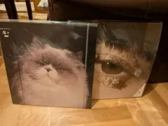 2025年最新】カネコアヤノ 燦々 レコードの人気アイテム - メルカリ