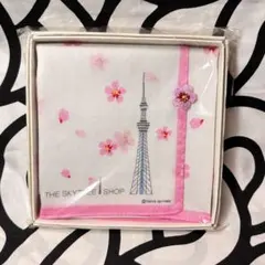 Item thumbnail for item e0475dd3-d61d-4c17-a07b-d3b115b5e9aa