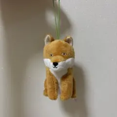きょむきょむ倶楽部　チベットスナギツネ　ぬいぐるみ