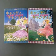 キャンディキャンディ 愛蔵版 全2巻セット 全巻 文庫 カバー - メルカリ