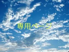 専用