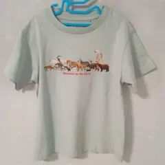 Item thumbnail for item 3379753f-cb53-435b-8452-6c4b67517baf