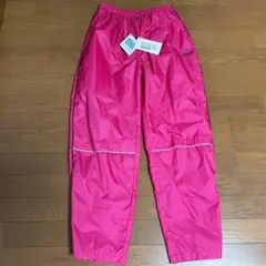 Item thumbnail for item 38e37e00-0783-4e2a-b48d-5887fc95bf70